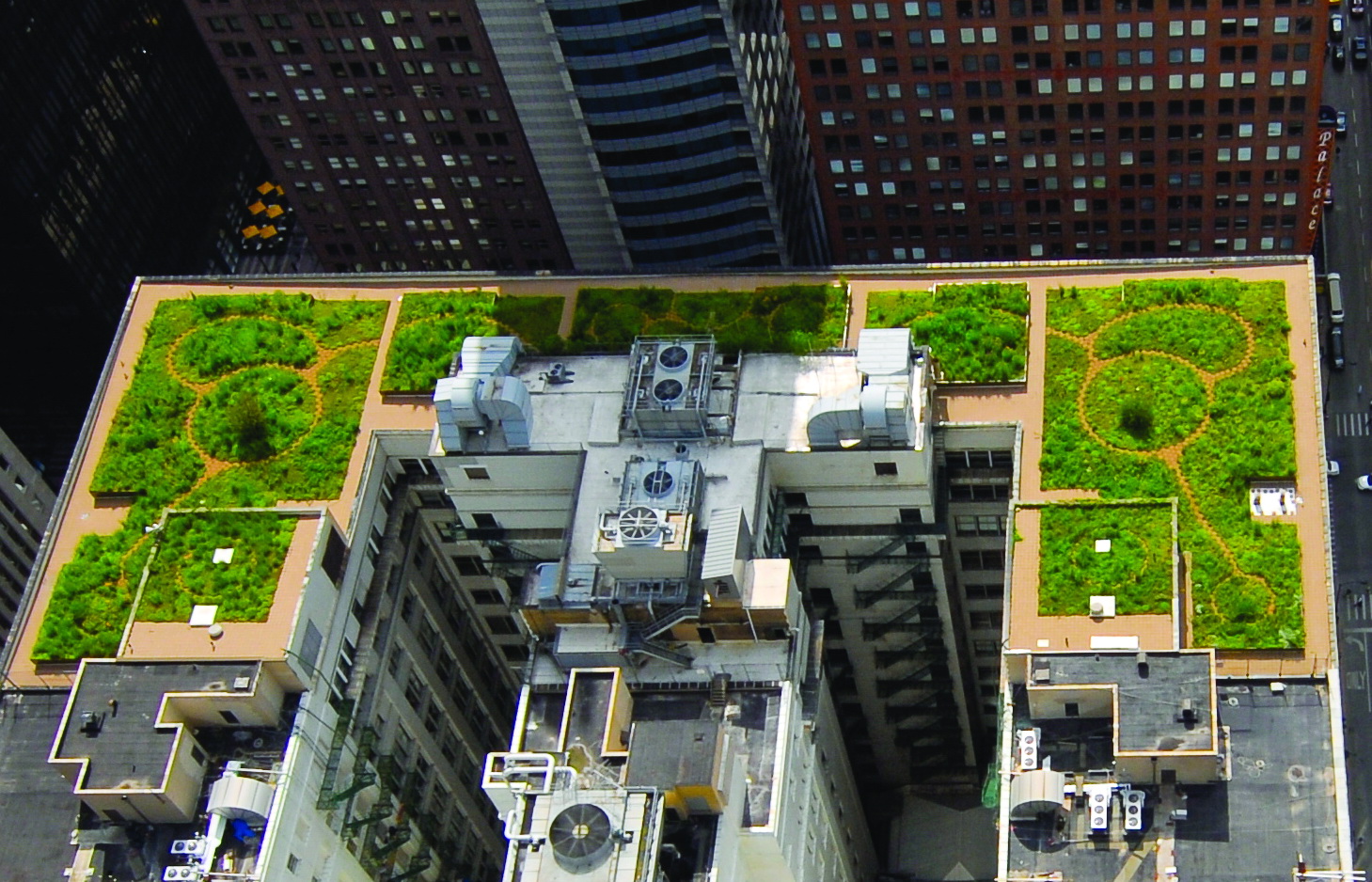 Chicago City Hall green roof (Source: http://aasid.parsons.edu/decorationascomposition/sites/default/files/001-cityhall-roof1_0.jpg)