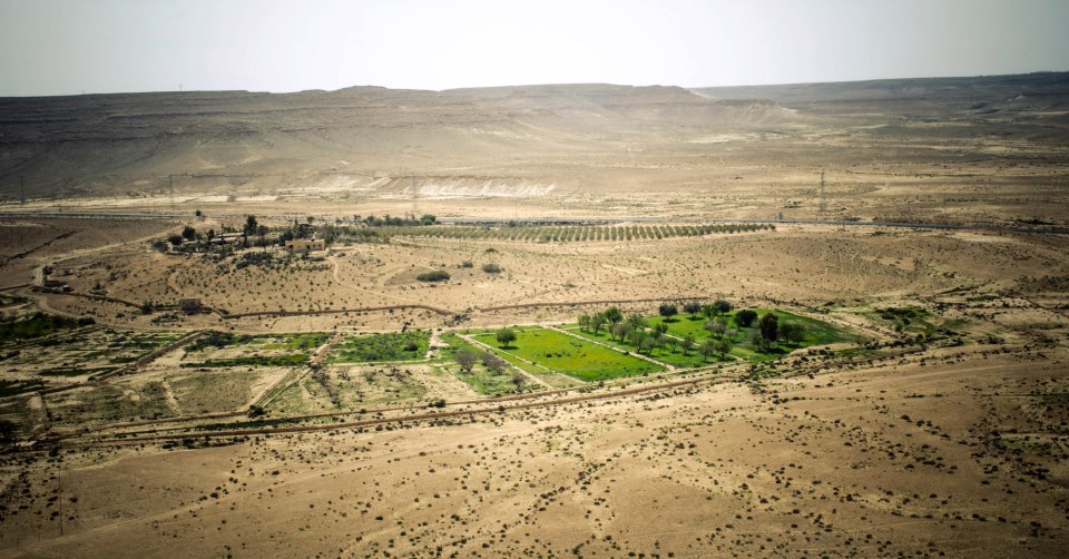 The results of drip irrigation in the Negev Desert (Source: http://i.bnet.com/blogs/iz2.jpg)