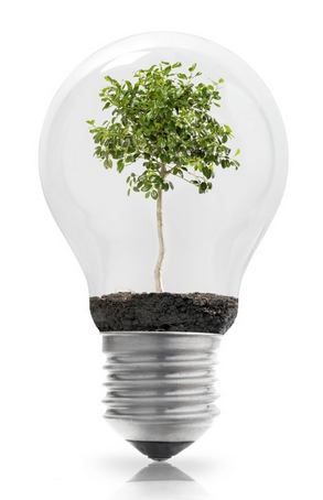 fostering-the-environment-for-innovation-1