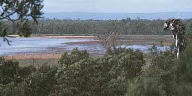Forrestdale and Thompsons Lakes. The lakes provide important habitat for waterbirds on the Swan coastal plain credit J. Lane