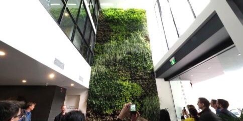 Light-weight panel system for internal green wall at the Verdant apartements (Source: Ross Perrigo, Urbaqa, 25/06/2019)